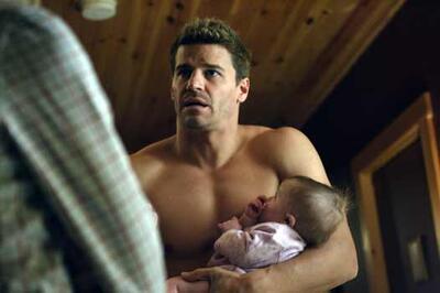 Angel · Other